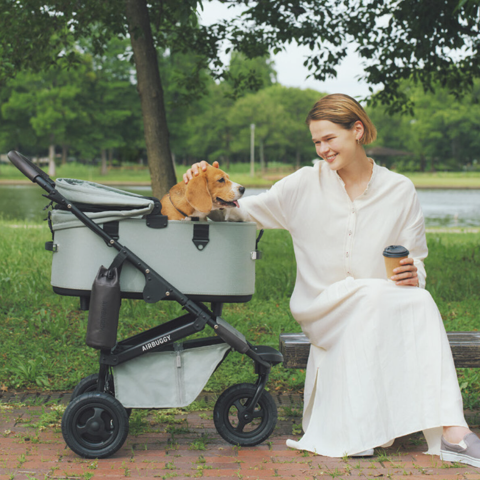Air Buggy DOME3 Regular / Large Size - Gentle Pets